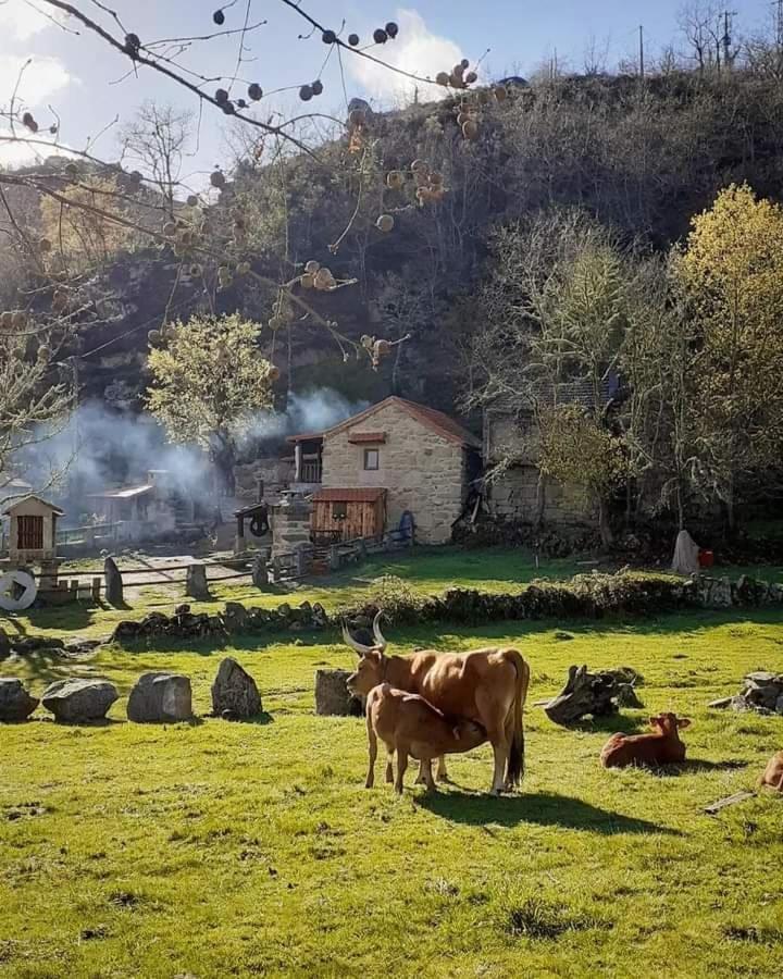 Aldeia De Pontes - Castro Laboreiro Luaran gambar